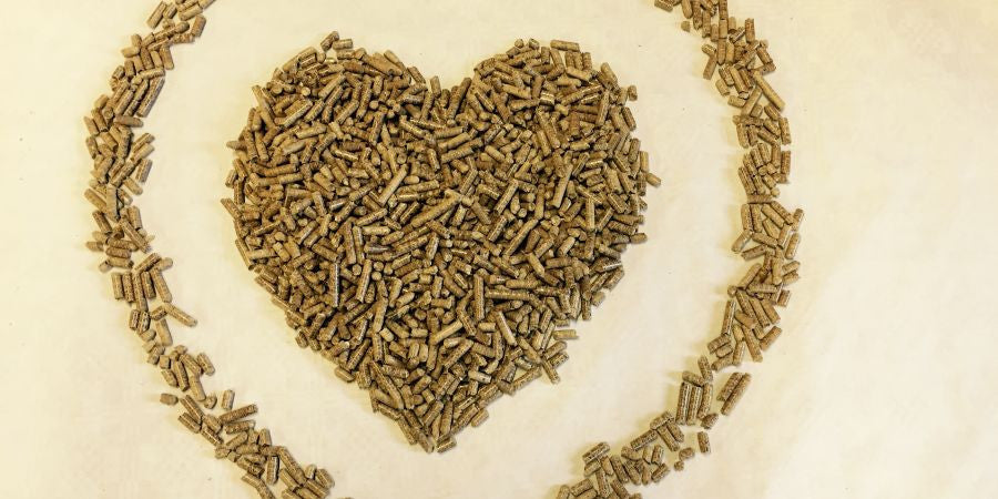 Grillen mit Pellets: Welche Holzpellets wofür?