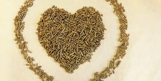 Grillen mit Pellets: Welche Holzpellets wofür?